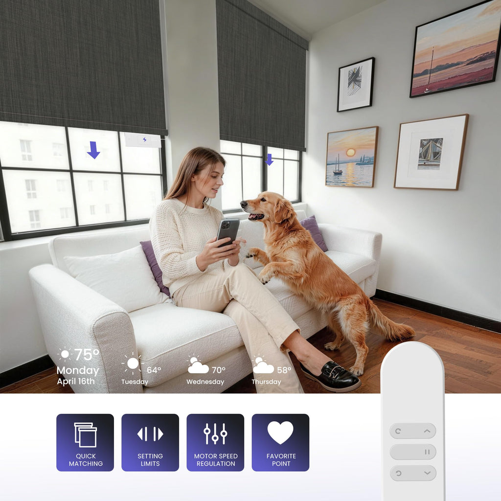 Smart Motorized Roller Shades - Silken Mist, Dark Grey