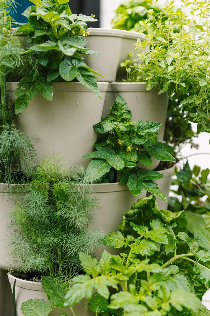 7 Tier Leaf Planter (Stunning Stone)