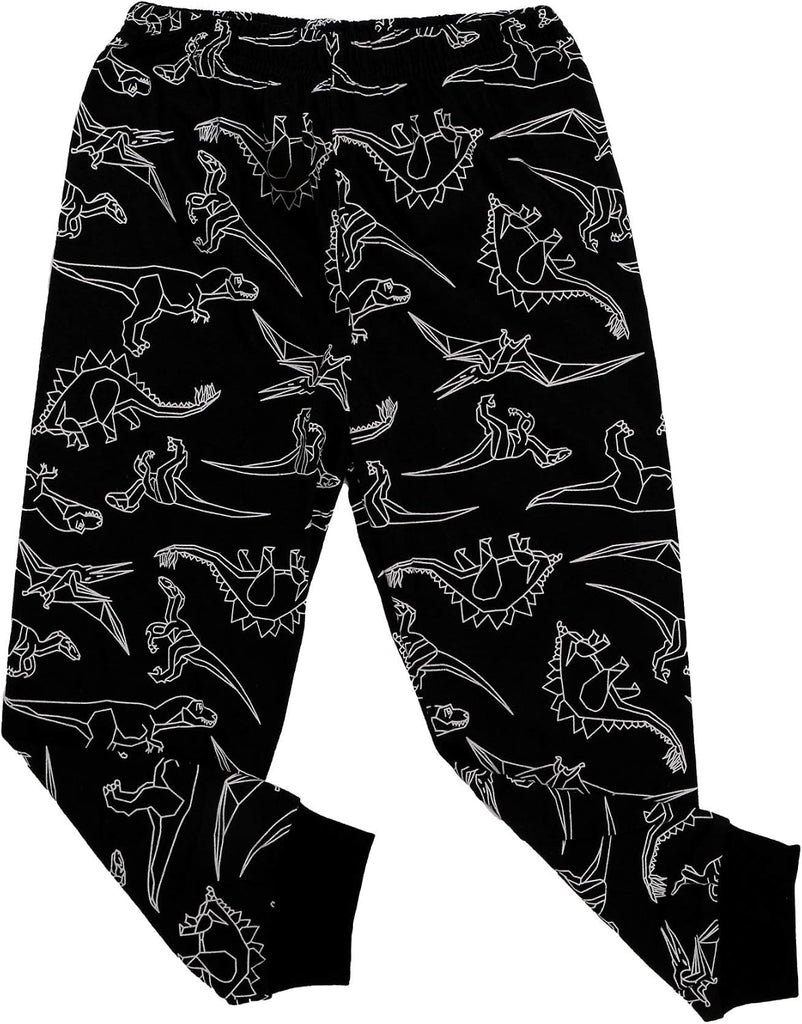 Boys Pajamas Set Long Toddler Pjs Little Kids Dinosaur Sleepwear