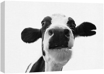 Canvas Print Wall Art Cow Closeup Portrait Animals Wildlife Photography Realism Decorative Elements Relax/Calm Grey