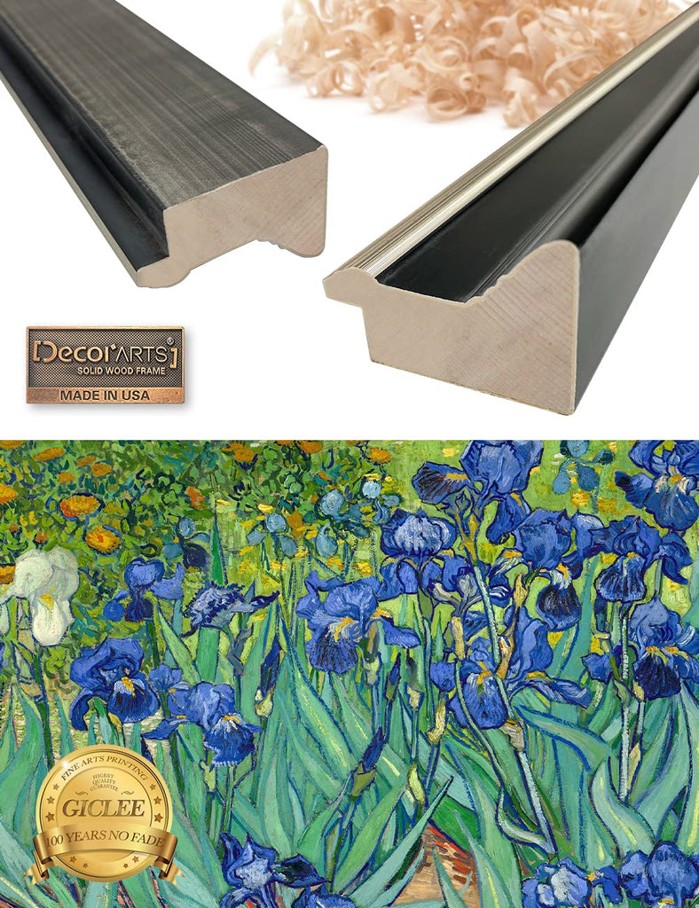 Vincent Van Gogh Wall Art Framed, Irises in the Garden, 34x28''