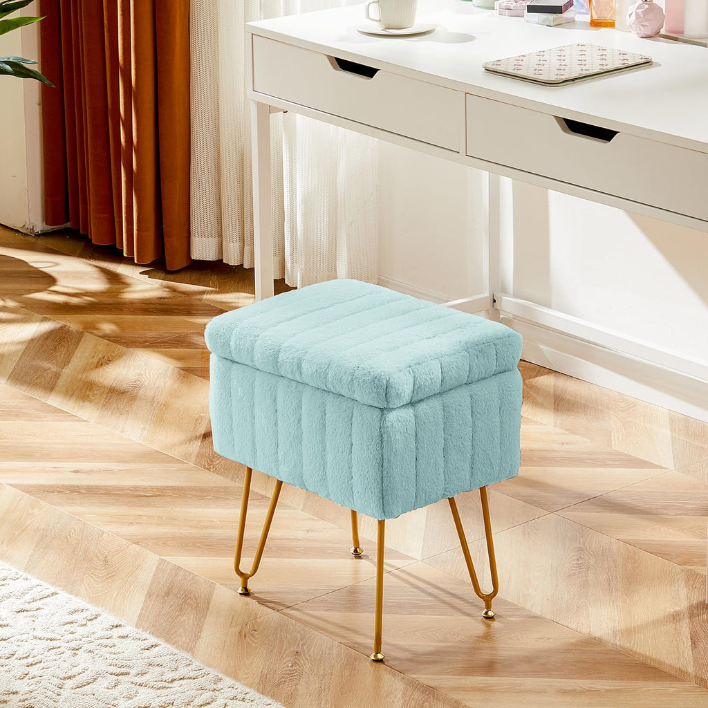 Vanity Stool Chair, Ottoman with Storage