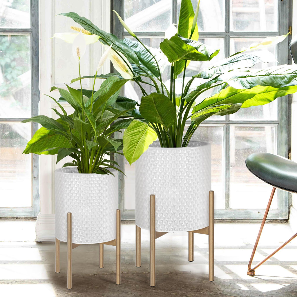 Set of 2 Modern Planters with Stand for Indoor Outdoor Plants