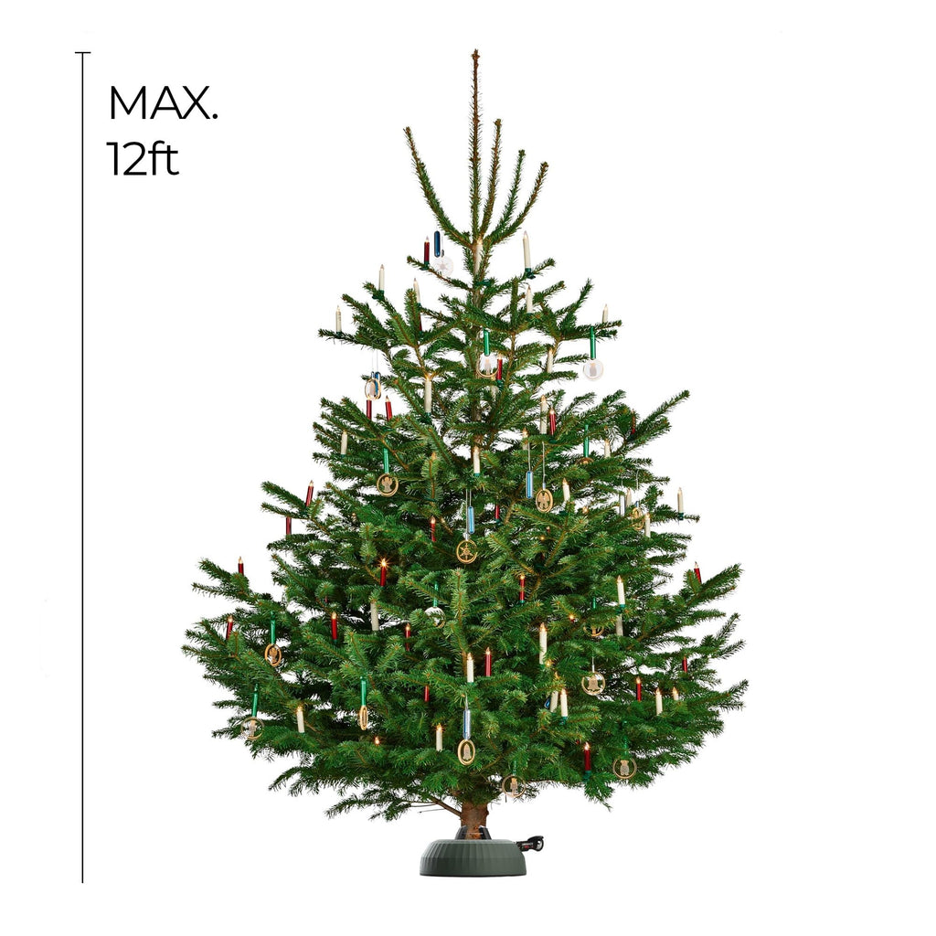Deluxe Tree Stand, Green - Fits 12 ft Trees