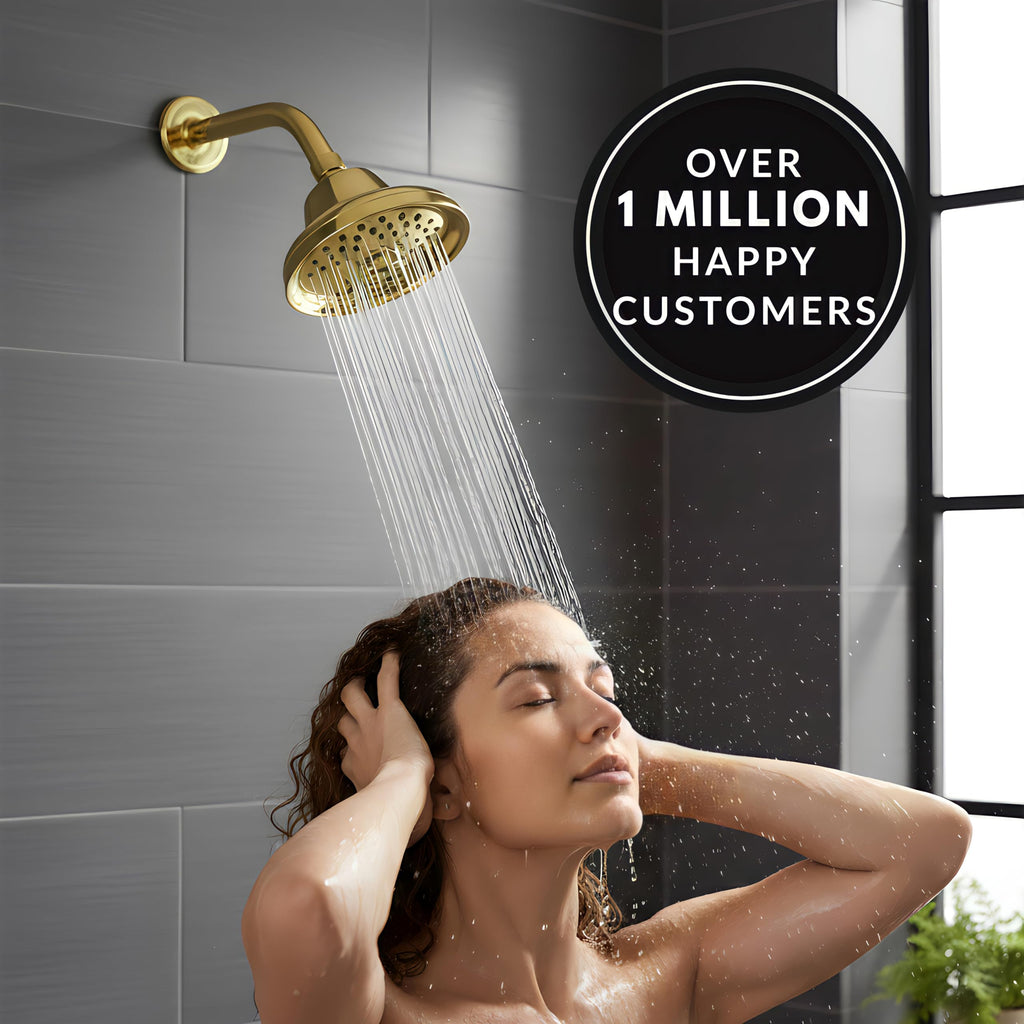 Massage Shower Head With Mist - 2.5 GPM - Polished Brass