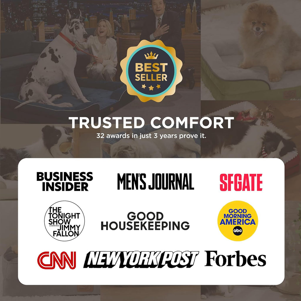 Orthopedic Dog Bed Medium Size Dogs - Washable Small Medium Dog Cat Bed Waterproof