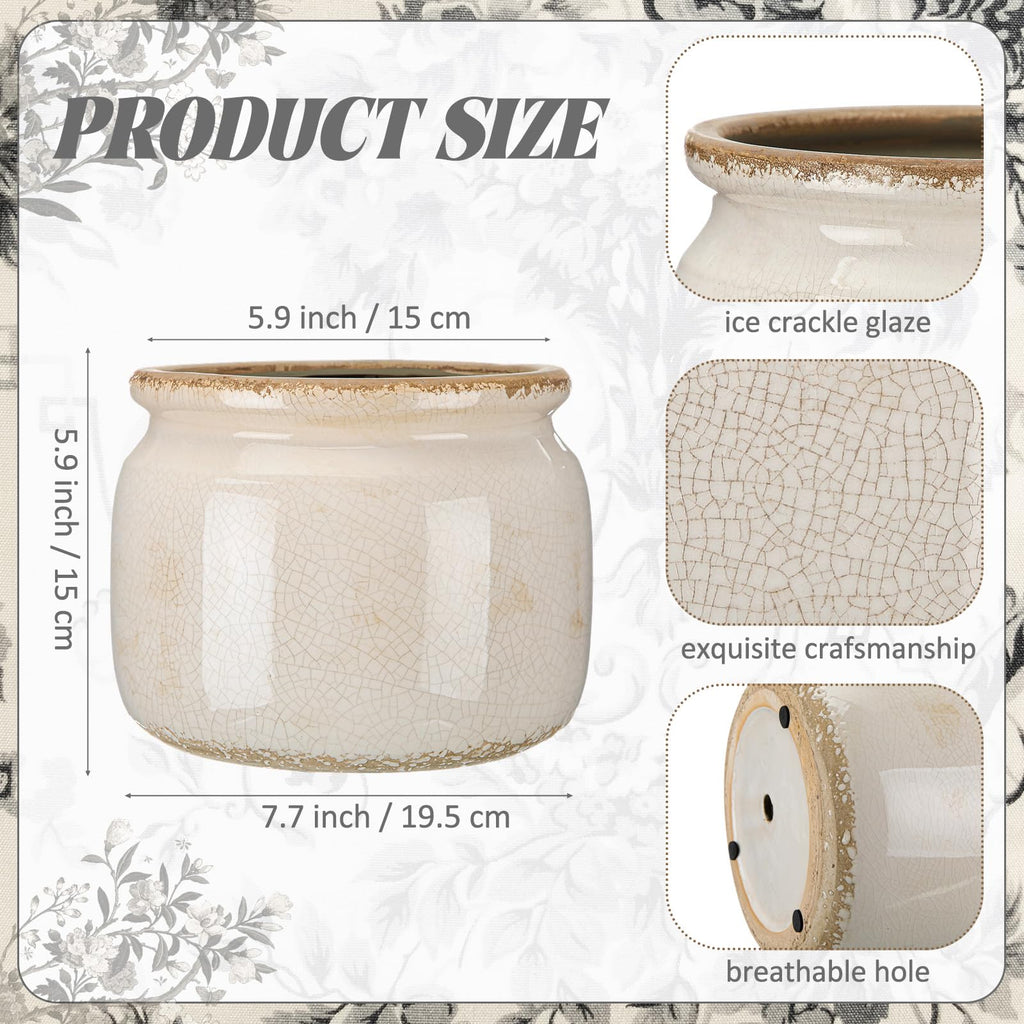 7.7′′ Large Vintage Ceramic Plant Pot Pure Beige Rustic Planter with Ice Crackle Glaze & Drainage Hole for Indoor