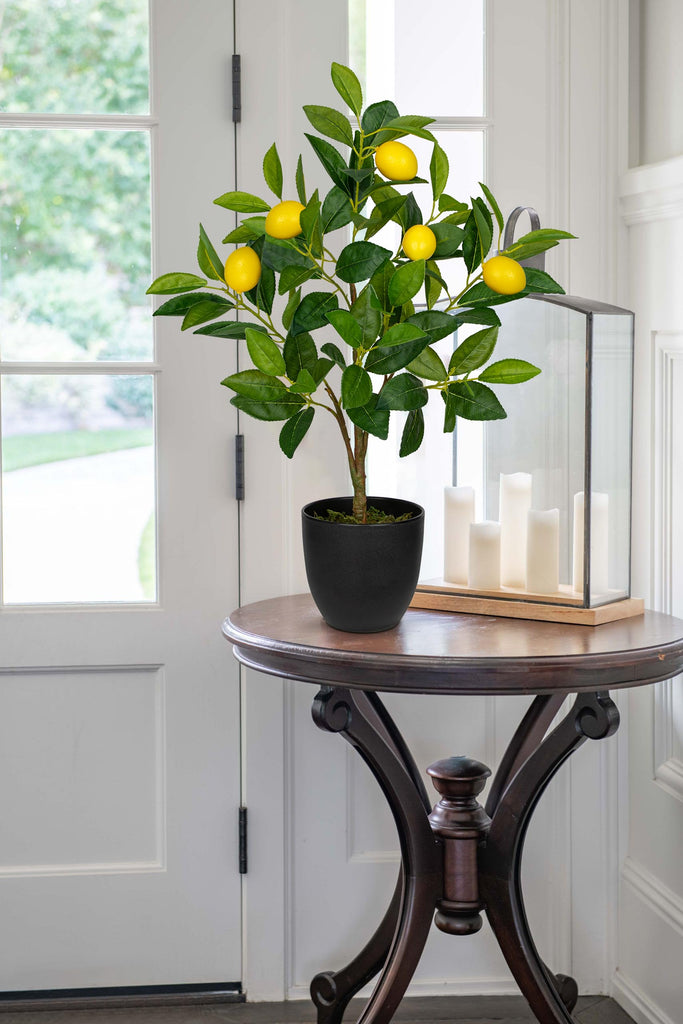2Ft Artificial Lemon Trees, 2 Packs Large Artificial Plants Indoor with Black Pots Faux Potted Citrus Trees Fake