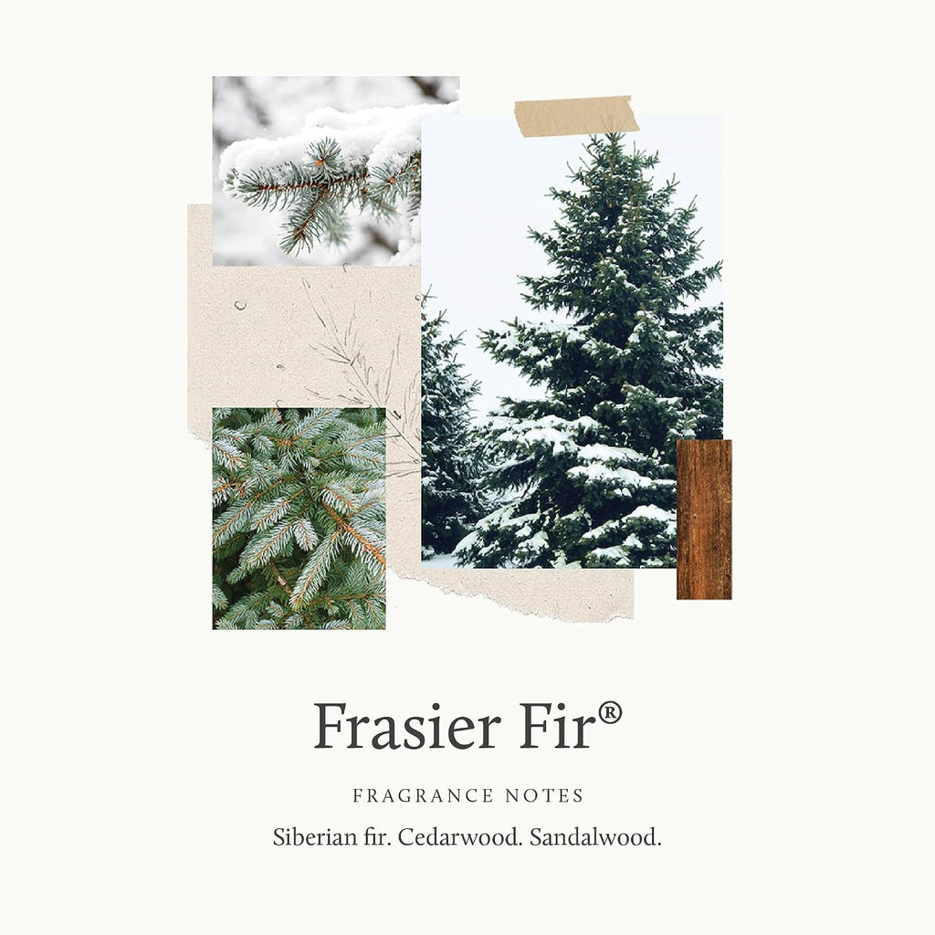 Frasier Fir Reed Diffuser Set - Includes Reeds, Fragrance Oil, and Frosted Glass Bottle - Fragrance Oil Diffuser