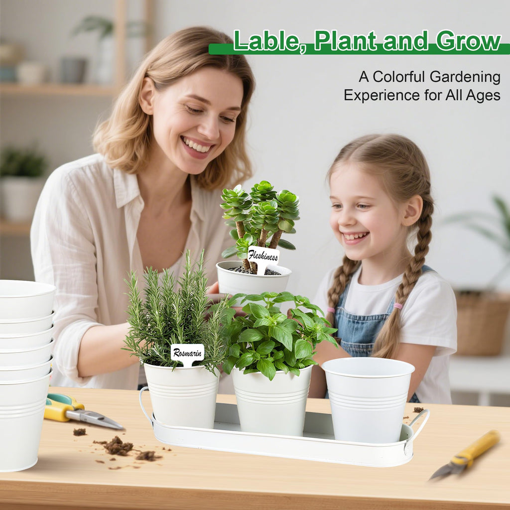 Herb Garden Planter Indoor Kit - 6 Metal Pots with 2 Trays for Windowsill & Kitchen Counter - Modern Decorative
