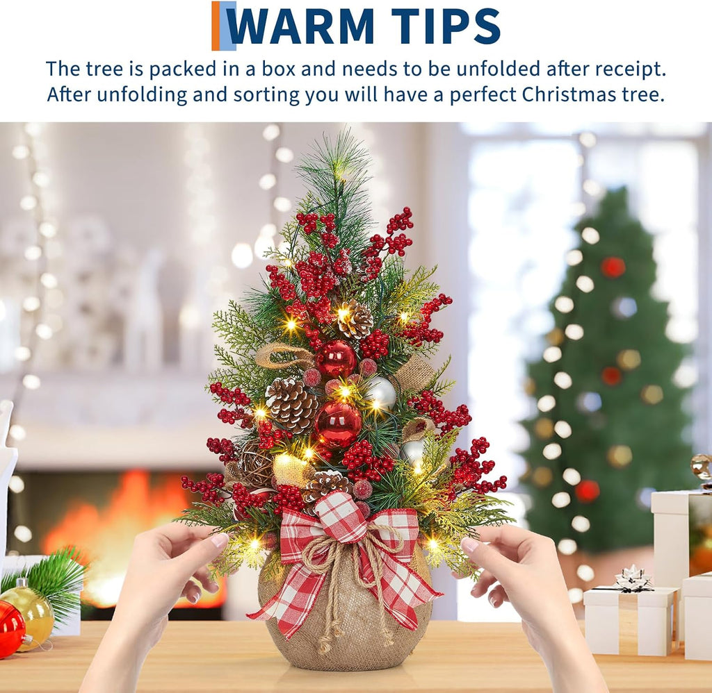 24" Pre-Lit Mini Christmas Tree with LED Lights - Battery Operated Tabletop Decor, Frosted Artificial Tree /Office