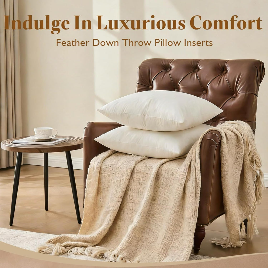 Down Feather Throw Pillow Inserts 22x22, 100% Organic Cotton Cover, Soft Fluffy & Support, Decorative - Set of 2