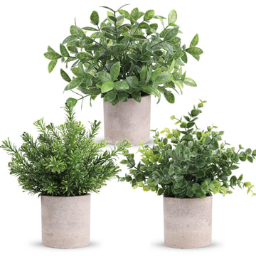 3 Pack Fake Plants Mini Faux Plants for Shelf Classroom Decor