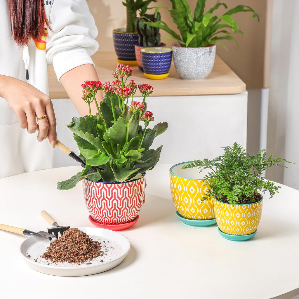 Ceramic Plant Pots, 4.6 Inch Flower Pots for Indoor Plants, Succulent Pots with Drainage Hole & Saucer, Succulent