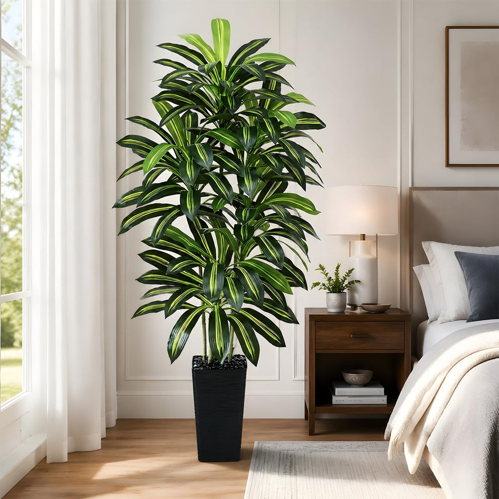 Artificial Dracaena Tree 6FT / Black Planter, Tall Plants Indoor