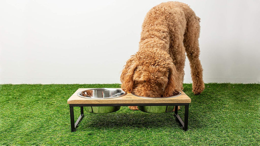 Mango Wood Dog Bowl Stand - Elevated Pet Feeder with 2 Stainless Steel Bowls - Raised Food and Water Dish Set