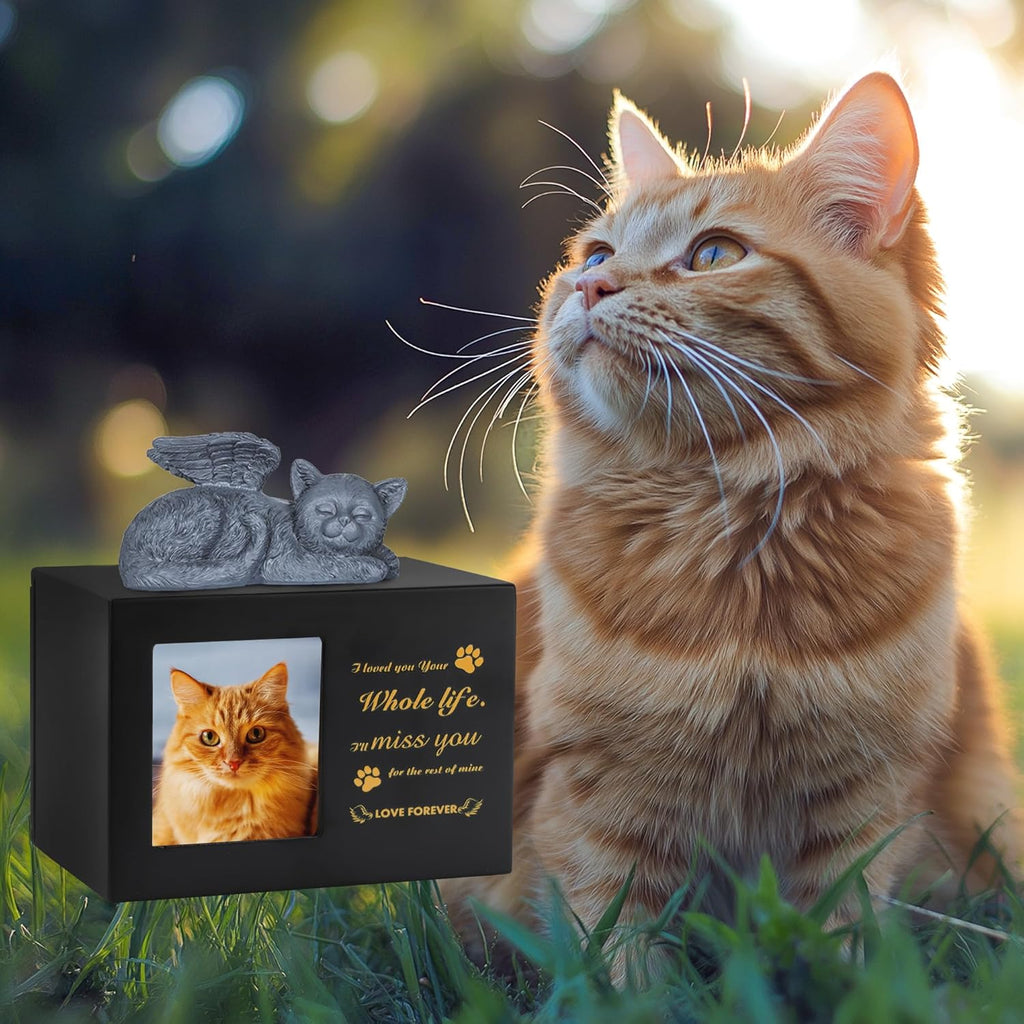 Pet Urn for Cat Ashe, Black Wooden Keepsake for Hair