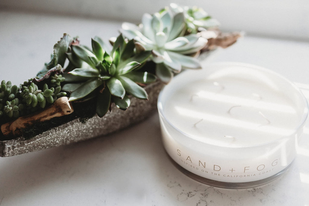 Scented Candle - Honey Tobacco - Additional Scents and Sizes - 100% Cotton Lead-Free Wick - Luxury Air Freshening Jar