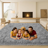 8x10 Fluffy Plush Area Rug, Soft Non-Slip Carpet for Living Room Bedroom Grey