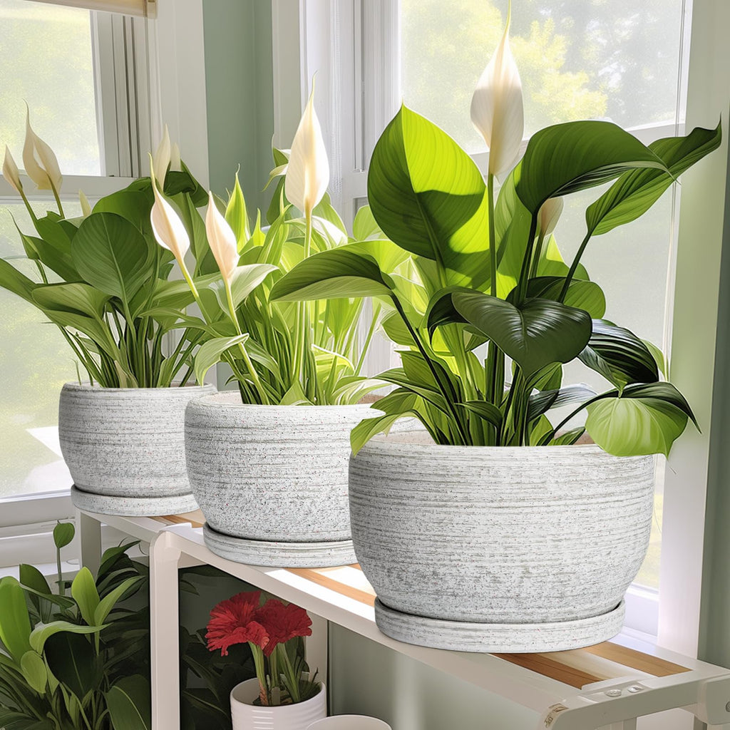 Ceramic Plant Pots - 8 inch Planter for Indoor Plants, Round Flower Pot with Drainage Hole and Plant Saucer, Modern