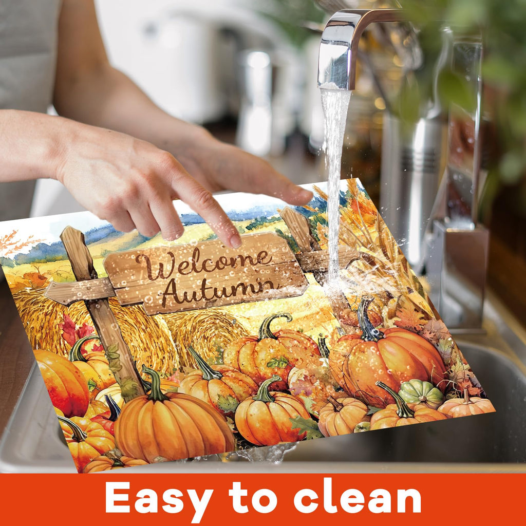 Fall Placemats Set of 6 Thanksgiving Pumpkin Plastic Table Mat 17×13×0.04in