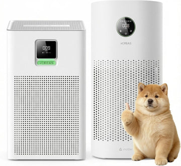 2-Pack Air Purifiers for Bedroom Double the Clean 2x Fresh Air