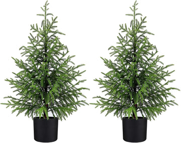 3FT Small Norfolk Pine Christmas Trees, 2-Pack Potted, Unlit