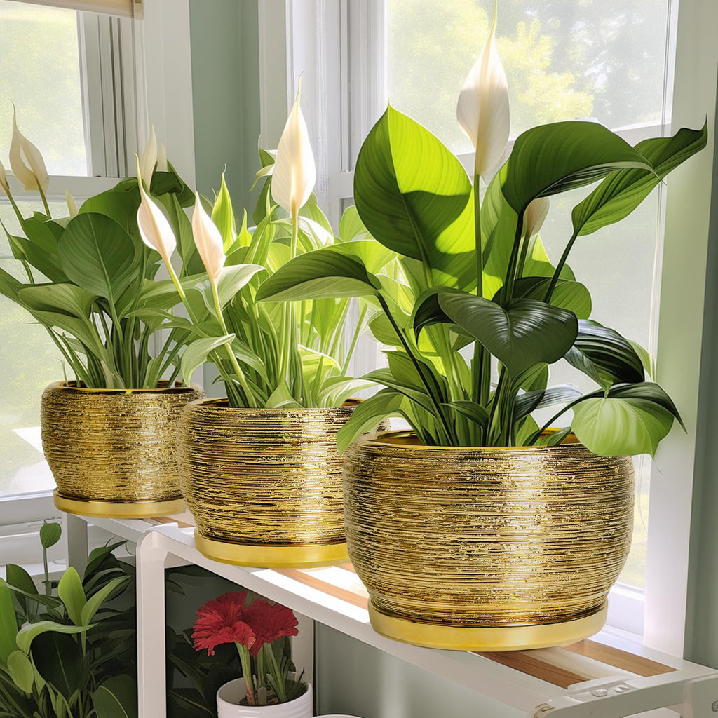 Ceramic Planter for Indoor Plants - 10 Inch Plant Pot with Drainage Hole and Saucer, Modern Round Planter Outdoor