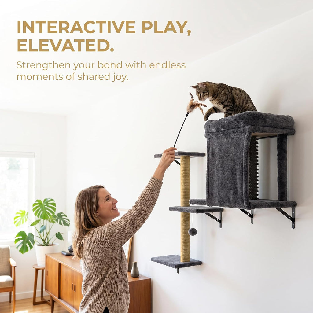 Cat Climbing Wall Systems with Scratching Post & Massager Groomer
