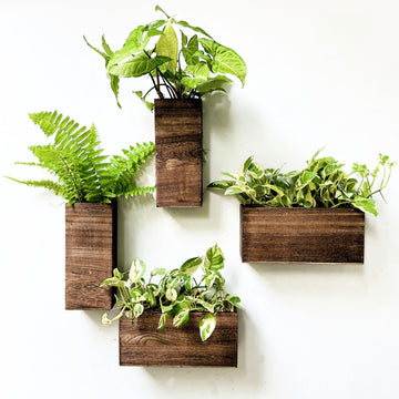 LaLaGreen Wooden Wall Planters (4 Pack) Hanging Wood Planter Box for Plants