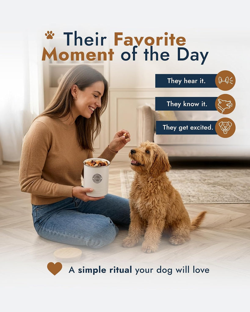 Dog Treat Container with Bamboo Lid, White Metal, 5.1" W x 6.5" H, 6.4 Cups