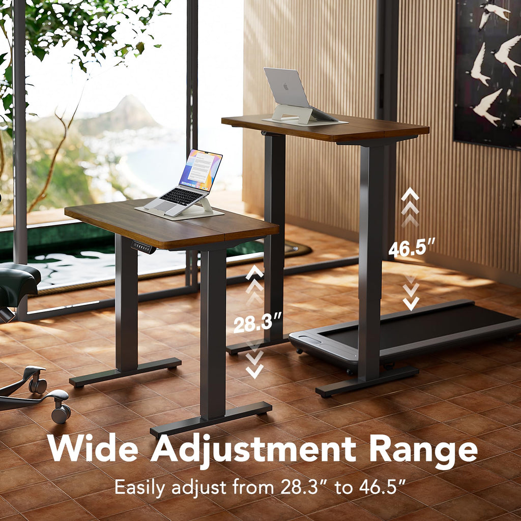 48x24 Inch Electric Standing Desk, Height Adjustable, Walnut