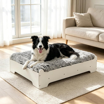 Large Size Elevated Dog Bed, White Finish Raised Dog Bed