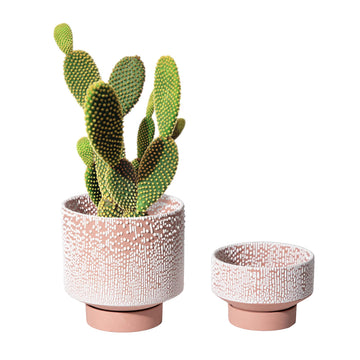Planter Ceramic Flower Pot for Indoor Plants | 5.5 inch + 4.9 inch Plant Pot with Saucer and Drainage Hole for Aloe