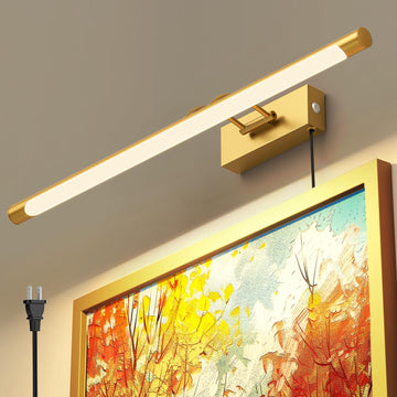 Plug in Picture Light for Wall Mural Art Light with On/Off Switch, 3000K Warm White Brightness Adjustable Gallery