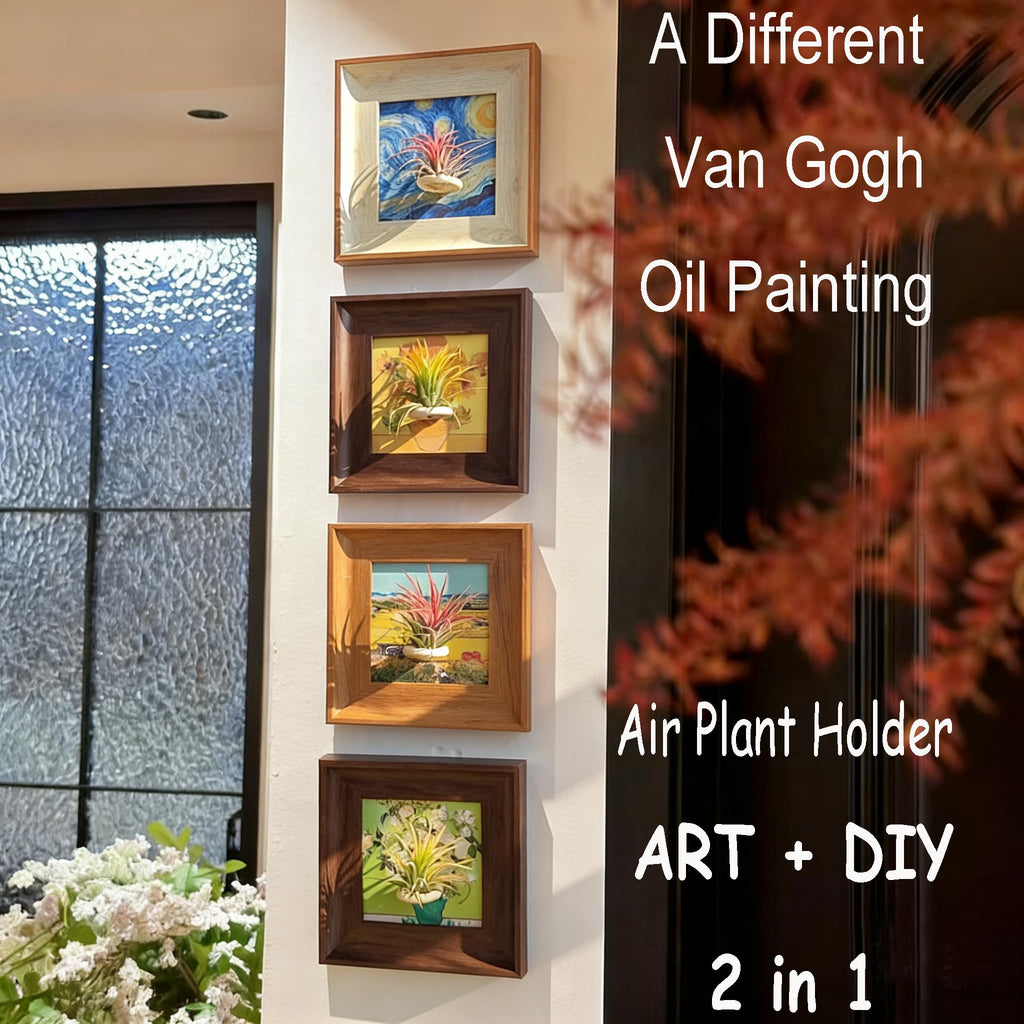 Set of 4 Van Gogh Painting & Air Plant Living Holder Stand Wall Art Decor