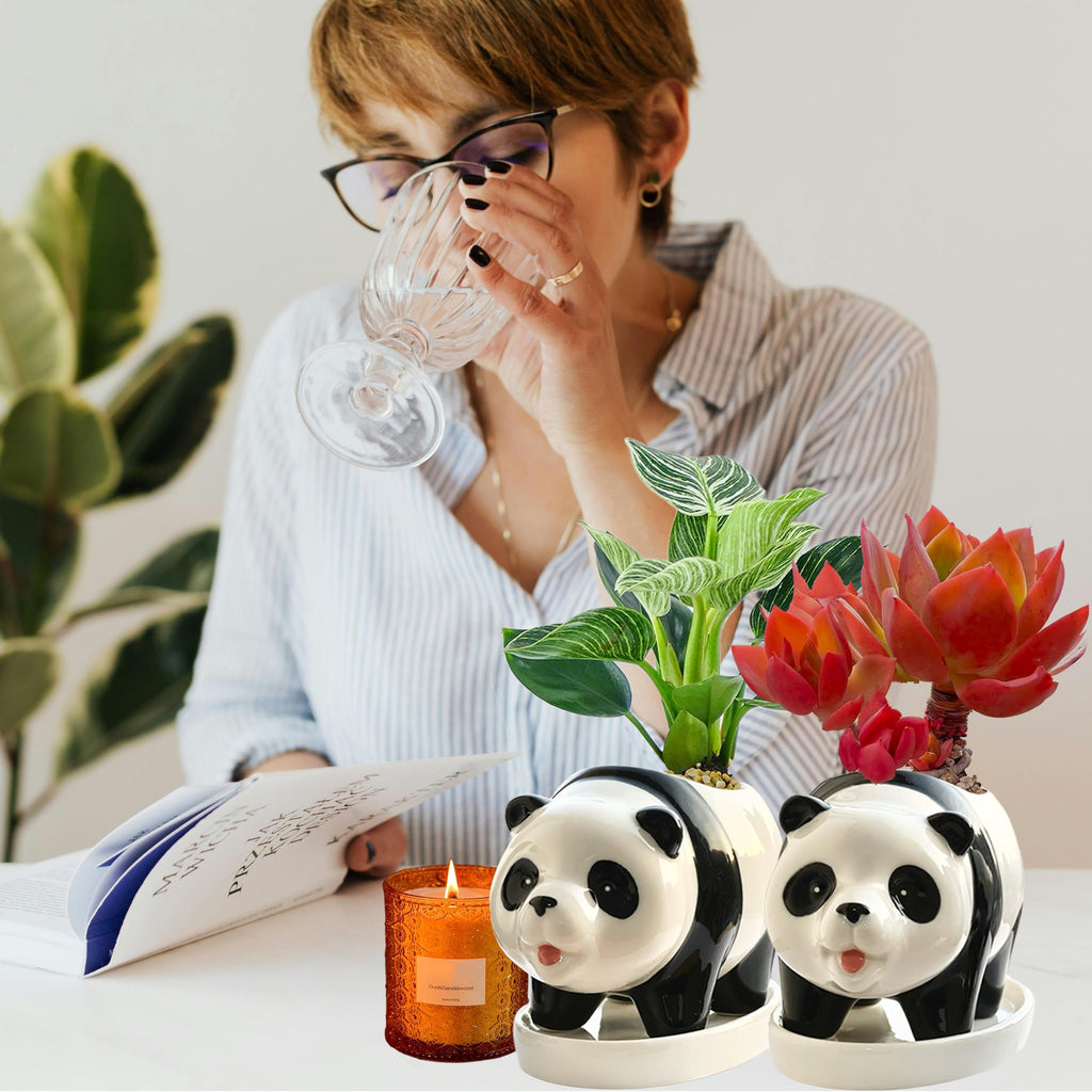 2PC Panda Bamboo Planter Pots-5.7'' Ceramic Animal Planters | Succulent Pots & Drainage Tray-Lucky Bamboo Plant Pots
