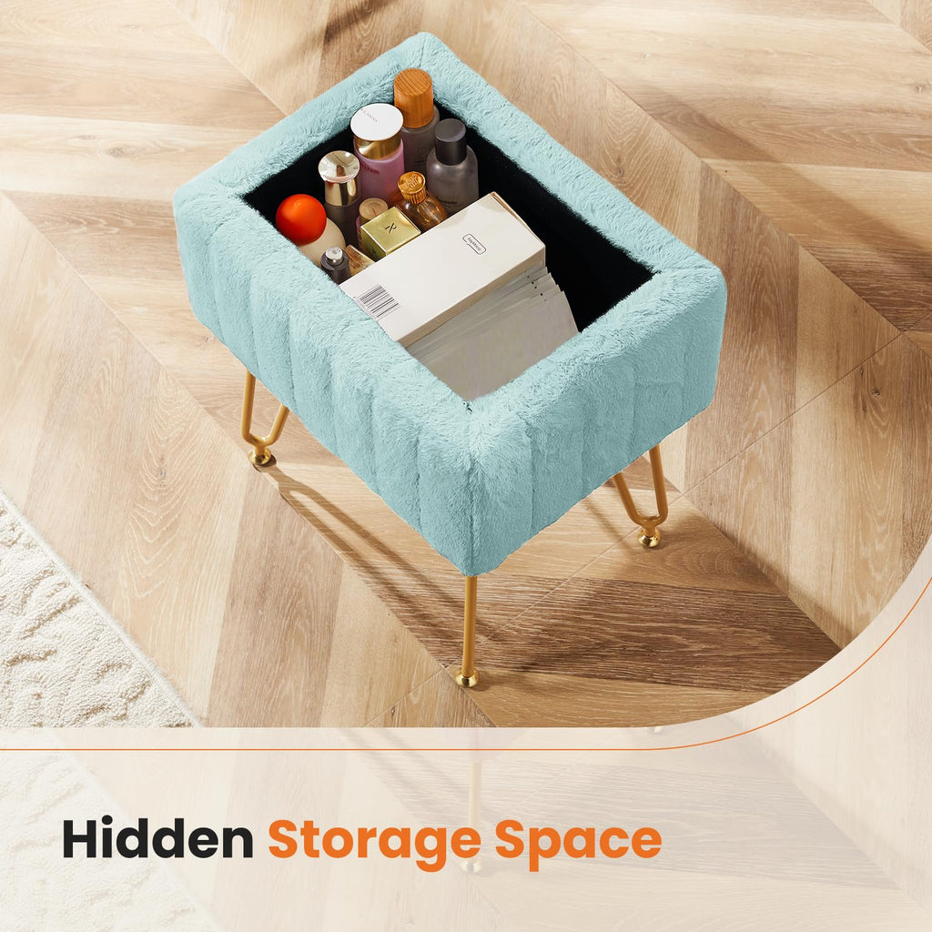 Vanity Stool Chair, Ottoman with Storage