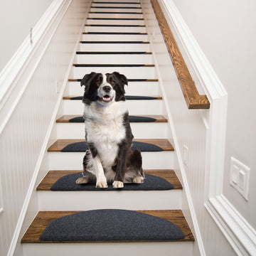 Bullnose Carpet Stair Treads Non Slip 13 Pcs, 8.7''x26'' Black