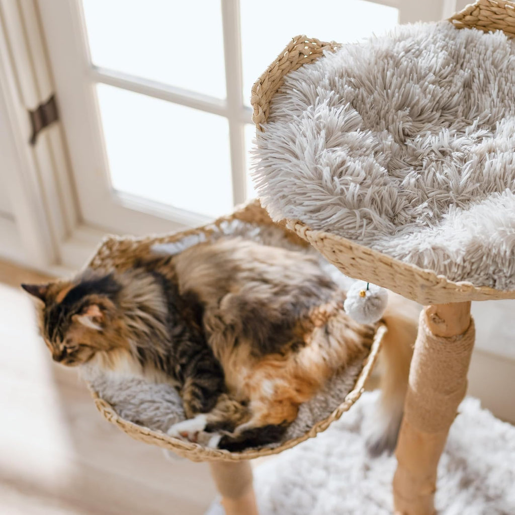 Modern Cat Tree Tower, Real Branch Wood Condo for Large Cats