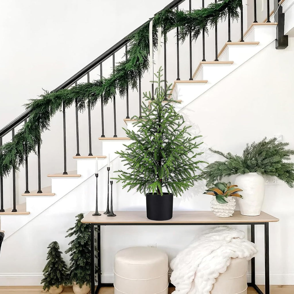 3FT Small Norfolk Pine Christmas Trees, 2-Pack Potted, Unlit