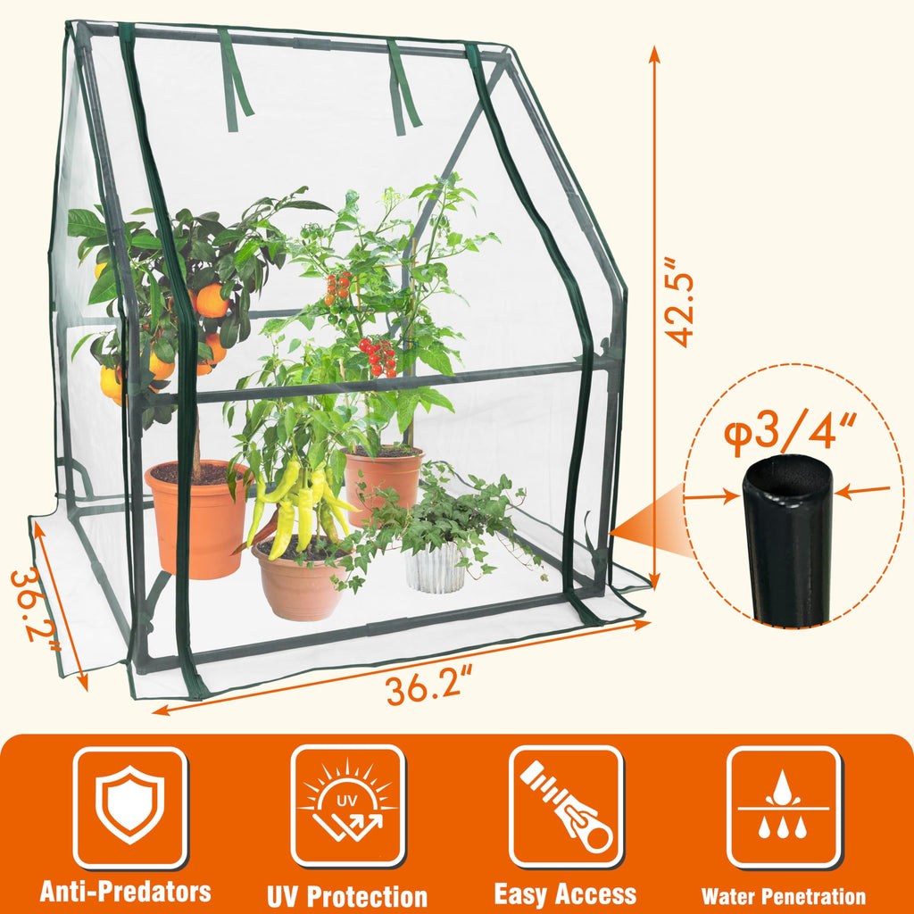 Mini Greenhouse with Zipper Mesh Cover 36.2"(L) x36.2(W) x42.5(H)