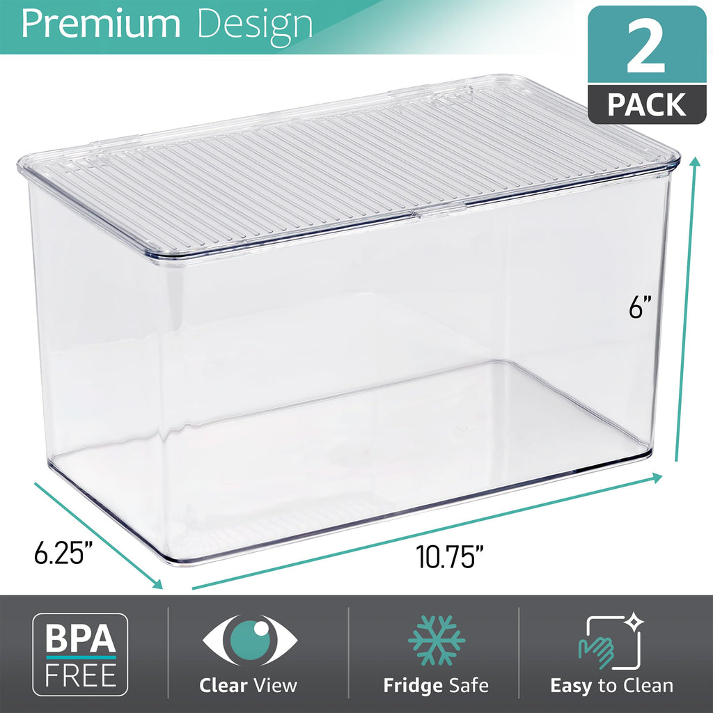 Clear Storage Bins with Lids, Stackable Organizer (Large)