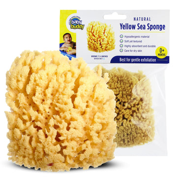 Buddy (1 Count, 4 Inch) Natural Yellow Sea Bath Sponge, Natural Baby Bath Sponge for Newborns and Kids, Soft When