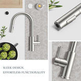 Kitchen Faucets with Pull Down Sprayer, Brushed Nickel Classic Single Handle Stainless Steel High Arc Faucet for