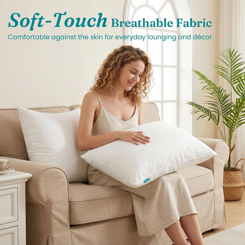 Throw Pillow Inserts 20x20, Decorative Throw Pillows - Set of 2