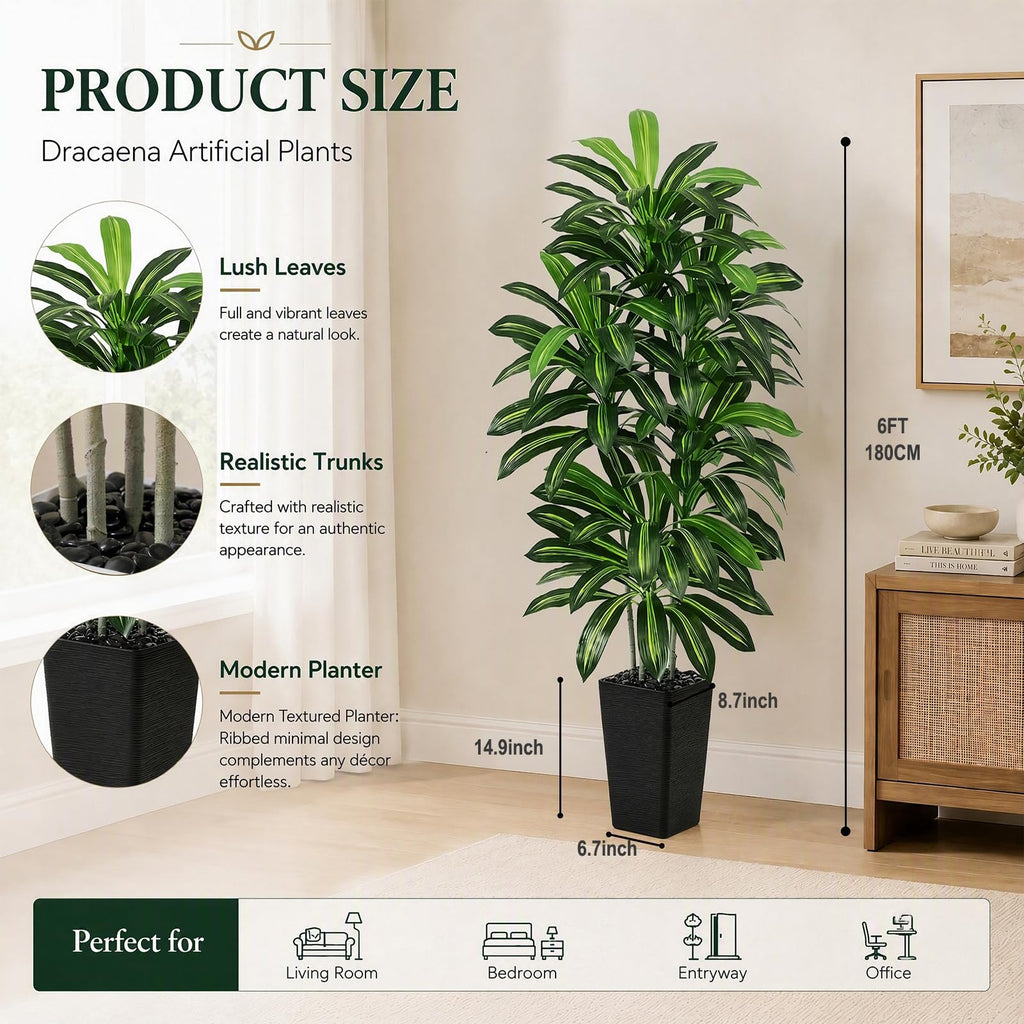 Artificial Dracaena Tree 6FT / Black Planter, Tall Plants Indoor