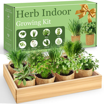 Indoor Herb Garden Kit, Complete Herb Starter Growing Kit with Seeds & Tools, Unique Christmas Birthday Gifts for