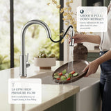Kitchen Faucets with Pull Down Sprayer, Brushed Nickel Classic Single Handle Stainless Steel High Arc Faucet for