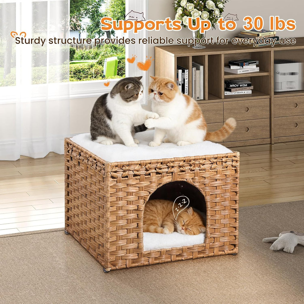 Handwoven Rattan Cat House - Indoor Foldable Cat Bed Cave with 2 Removable Bed Mats, Large Kitten House, Hideaway Pet